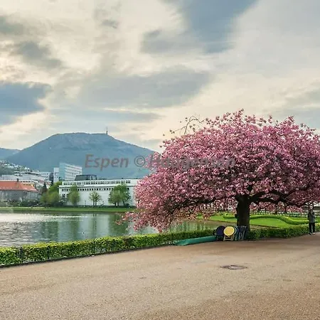 Floor Close To Grieg Hall And Town Square * Bergen