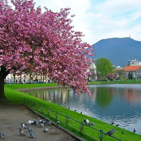 Floor Close To Grieg Hall And Town Square Semesterbostad *