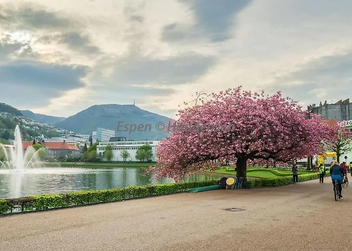 Floor Close To Grieg Hall And Town Square * Bergen